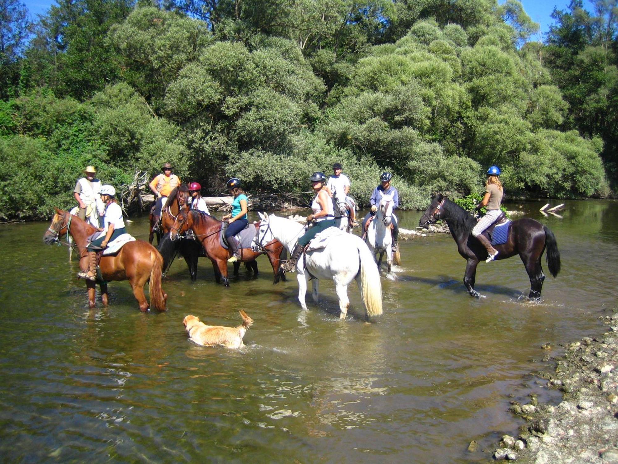 Els Torrents Ξενοδοχείο Bellver De Cerdanya Εξωτερικό φωτογραφία