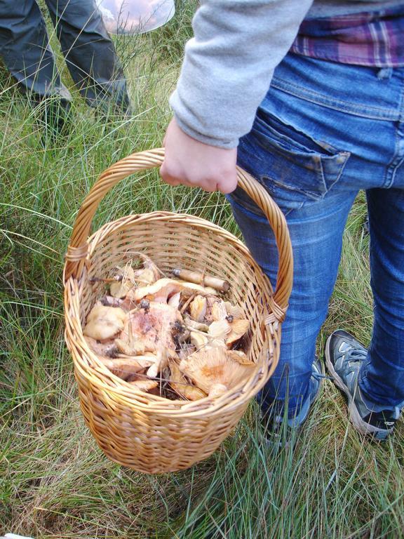 Els Torrents Ξενοδοχείο Bellver De Cerdanya Εξωτερικό φωτογραφία